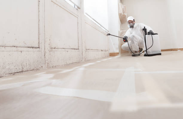24/7 Emergency Crawl Space Mold Removal experts in Springfield, NJ